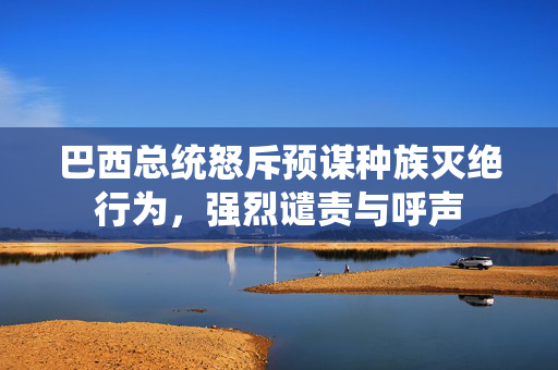 巴西总统怒斥预谋种族灭绝行为，强烈谴责与呼声