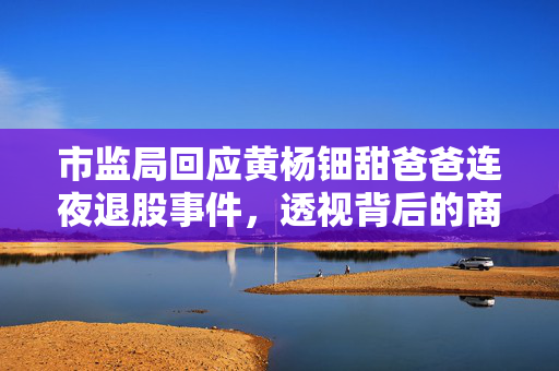 市监局回应黄杨钿甜爸爸连夜退股事件，透视背后的商业与法律考量