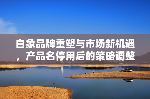 白象品牌重塑与市场新机遇，产品名停用后的策略调整
