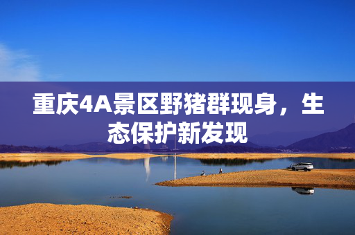 重庆4A景区野猪群现身，生态保护新发现