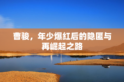 曹骏，年少爆红后的隐匿与再崛起之路