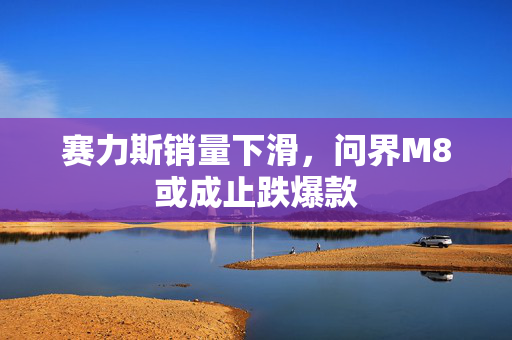 赛力斯销量下滑，问界M8或成止跌爆款