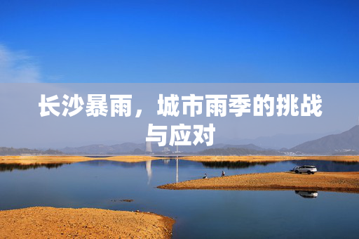 长沙暴雨，城市雨季的挑战与应对