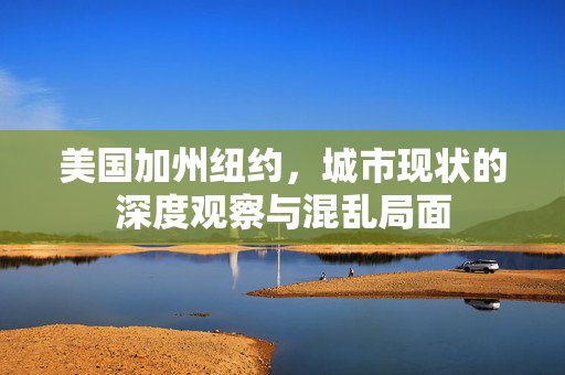 美国加州纽约，城市现状的深度观察与混乱局面