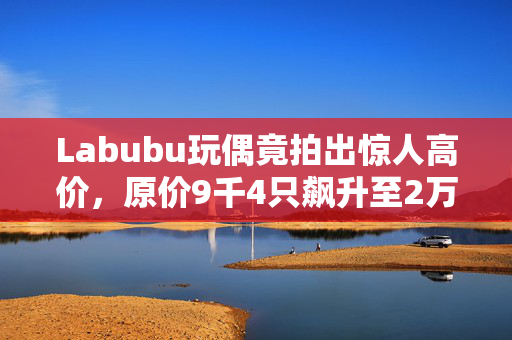 Labubu玩偶竟拍出惊人高价，原价9千4只飙升至2万2！
