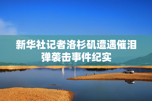 新华社记者洛杉矶遭遇催泪弹袭击事件纪实
