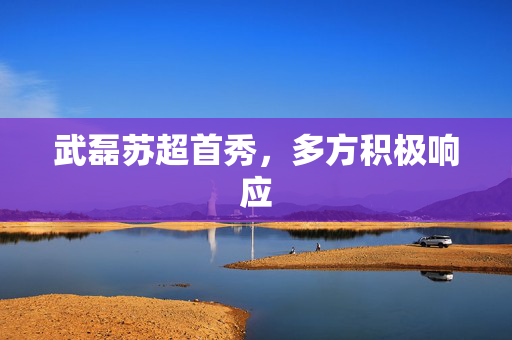 武磊苏超首秀，多方积极响应