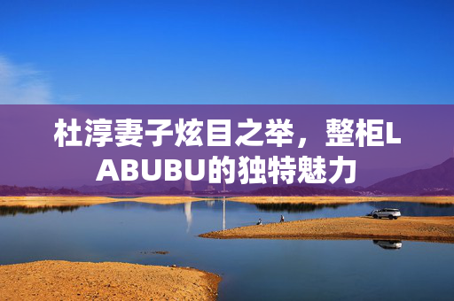 杜淳妻子炫目之举，整柜LABUBU的独特魅力