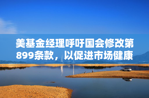 美基金经理呼吁国会修改第899条款，以促进市场健康稳定发展