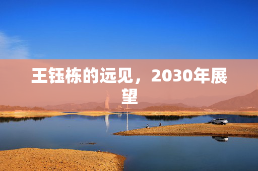 王钰栋的远见，2030年展望
