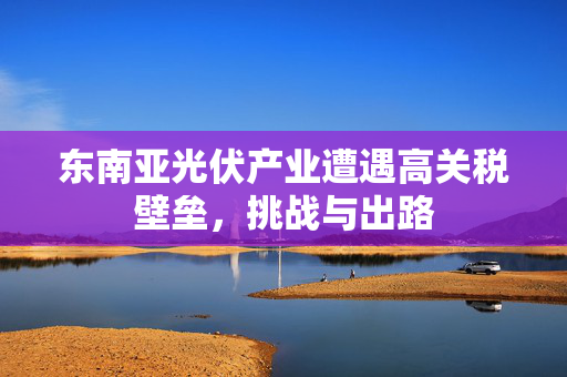 东南亚光伏产业遭遇高关税壁垒，挑战与出路