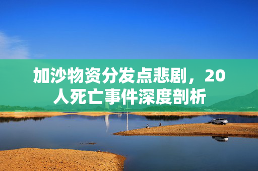 加沙物资分发点悲剧，20人死亡事件深度剖析