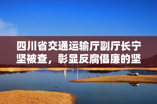 四川省交通运输厅副厅长宁坚被查，彰显反腐倡廉的坚定步伐