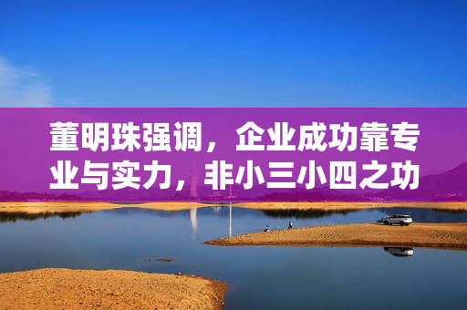 董明珠强调，企业成功靠专业与实力，非小三小四之功
