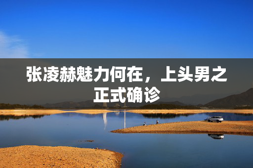 张凌赫魅力何在，上头男之正式确诊