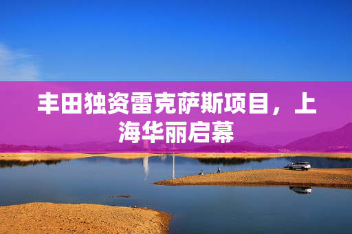 丰田独资雷克萨斯项目，上海华丽启幕