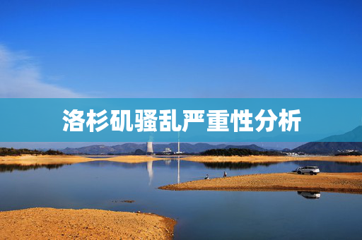 洛杉矶骚乱严重性分析