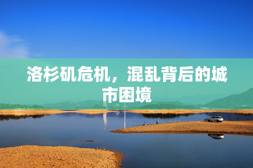 洛杉矶危机，混乱背后的城市困境