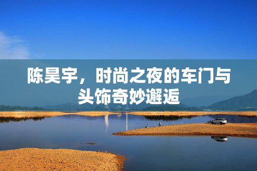 陈昊宇，时尚之夜的车门与头饰奇妙邂逅