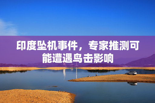 印度坠机事件，专家推测可能遭遇鸟击影响