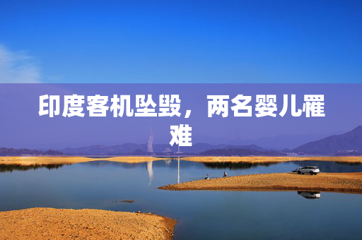 印度客机坠毁，两名婴儿罹难
