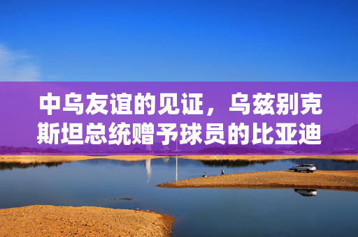 中乌友谊的见证，乌兹别克斯坦总统赠予球员的比亚迪汽车