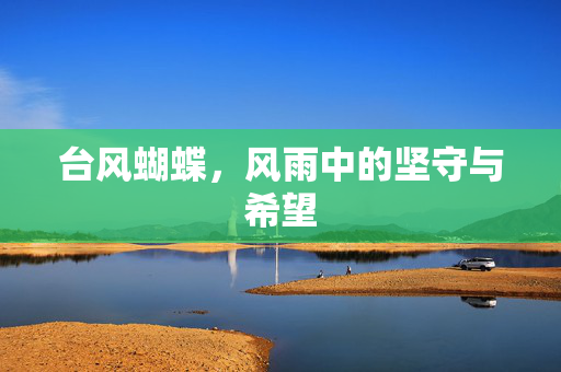 台风蝴蝶，风雨中的坚守与希望