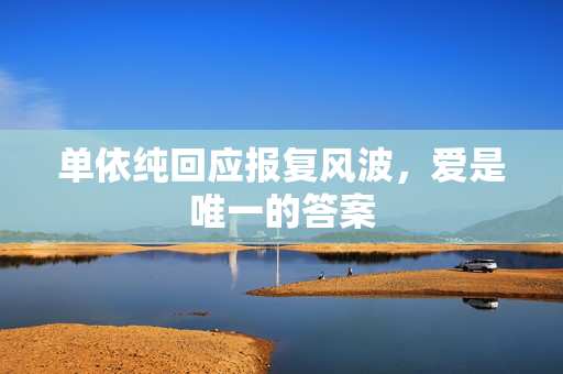 单依纯回应报复风波，爱是唯一的答案