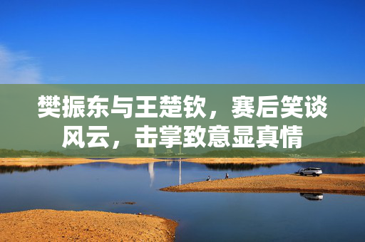 樊振东与王楚钦，赛后笑谈风云，击掌致意显真情