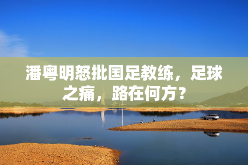 潘粤明怒批国足教练，足球之痛，路在何方？
