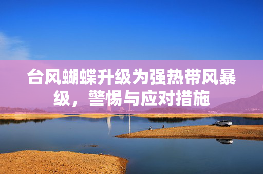台风蝴蝶升级为强热带风暴级，警惕与应对措施