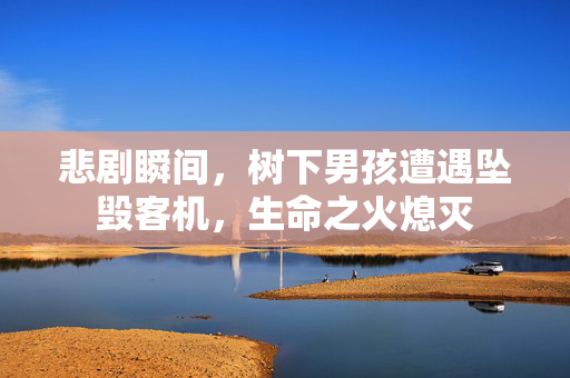 悲剧瞬间，树下男孩遭遇坠毁客机，生命之火熄灭