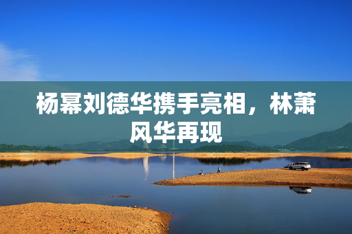 杨幂刘德华携手亮相，林萧风华再现