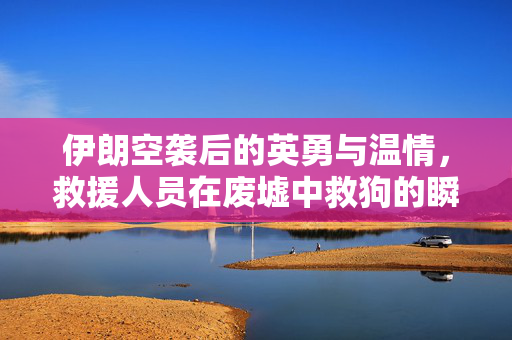 伊朗空袭后的英勇与温情，救援人员在废墟中救狗的瞬间