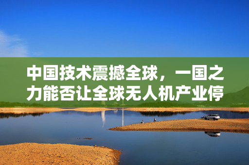 中国技术震撼全球，一国之力能否让全球无人机产业停摆一年？