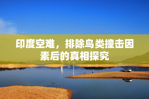 印度空难，排除鸟类撞击因素后的真相探究