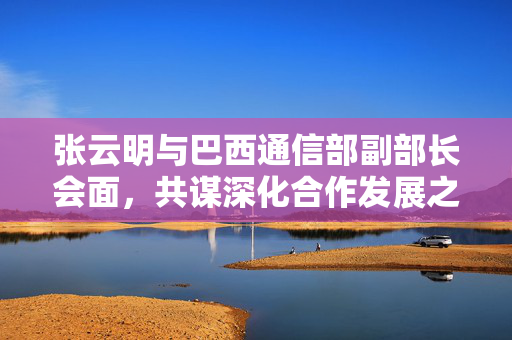 张云明与巴西通信部副部长会面，共谋深化合作发展之道