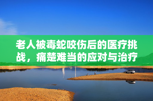 老人被毒蛇咬伤后的医疗挑战，痛楚难当的应对与治疗