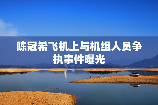陈冠希飞机上与机组人员争执事件曝光