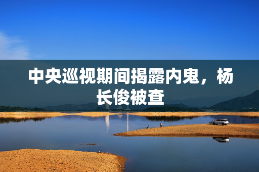 中央巡视期间揭露内鬼，杨长俊被查