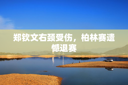 郑钦文右颈受伤，柏林赛遗憾退赛
