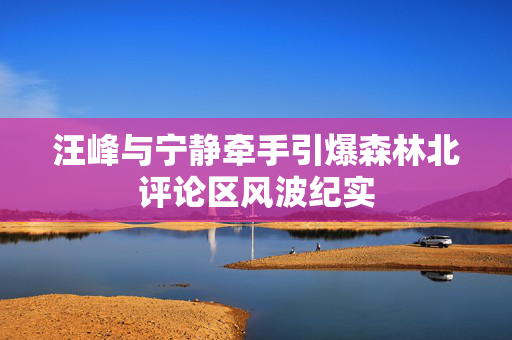 汪峰与宁静牵手引爆森林北评论区风波纪实