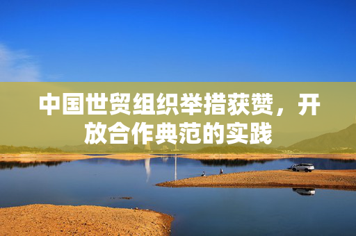 中国世贸组织举措获赞，开放合作典范的实践