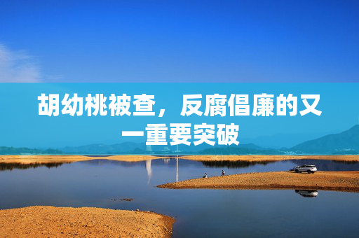 胡幼桃被查，反腐倡廉的又一重要突破