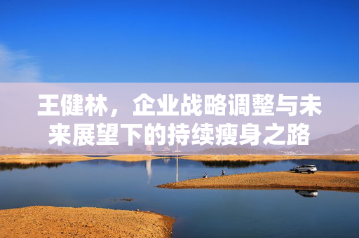 王健林，企业战略调整与未来展望下的持续瘦身之路