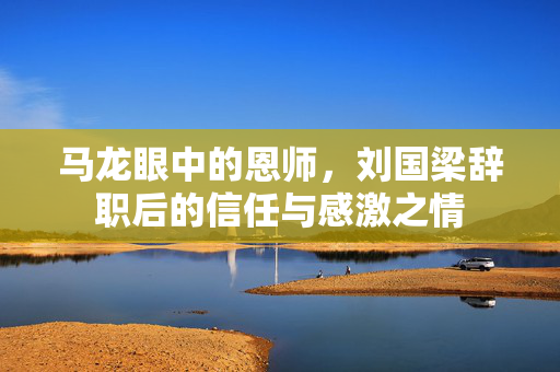 马龙眼中的恩师，刘国梁辞职后的信任与感激之情