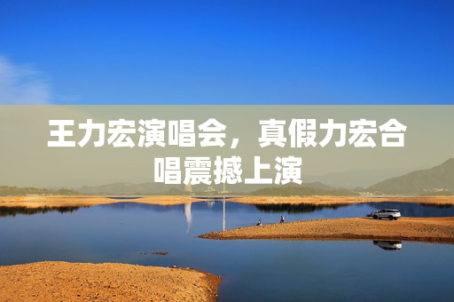 王力宏演唱会，真假力宏合唱震撼上演