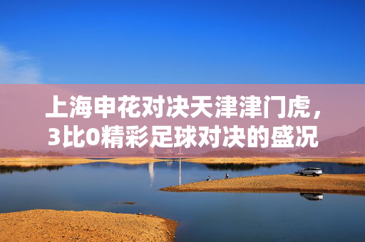 上海申花对决天津津门虎，3比0精彩足球对决的盛况