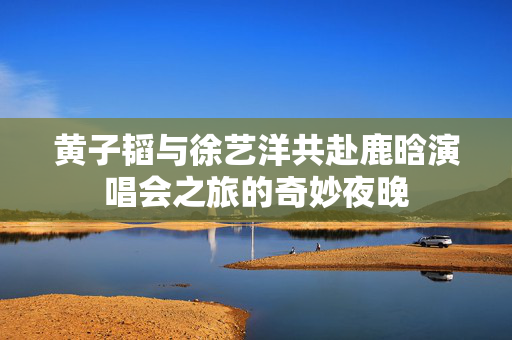 黄子韬与徐艺洋共赴鹿晗演唱会之旅的奇妙夜晚