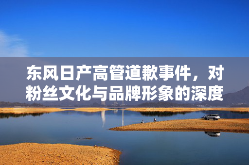 东风日产高管道歉事件，对粉丝文化与品牌形象的深度思考